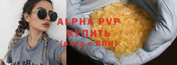сатива Белокуриха
