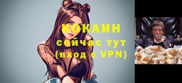 дмт Богородицк