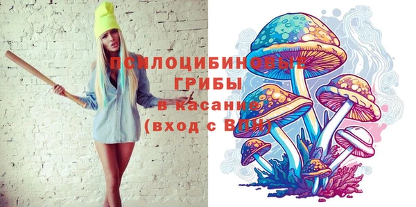 дмт Богородицк