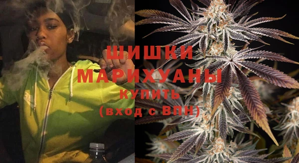СК Бронницы