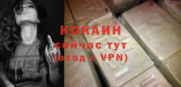 сатива Белокуриха