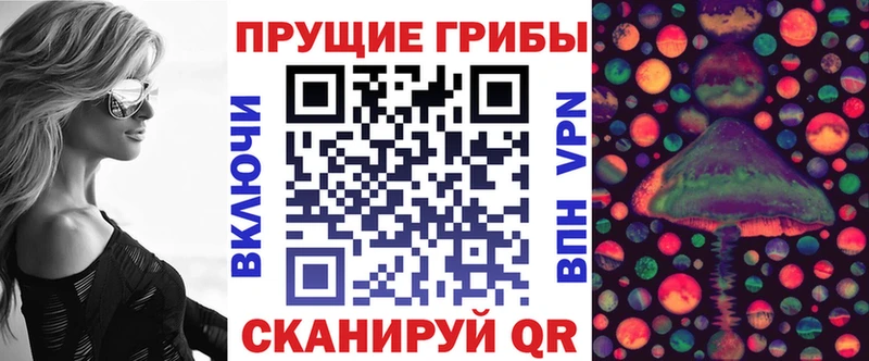 маркетплейс наркотические препараты Гусев Псилоцибиновые грибы MAGIC MUSHROOMS