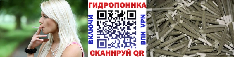 Бошки марихуана AK-47  сколько стоит  Гусев 